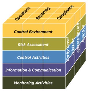 coso cube